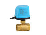 Two - Way Electric Valve